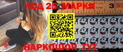 гашик Кулебаки