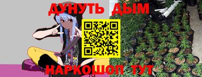 гашик Кулебаки