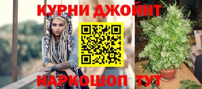 гашик Кулебаки