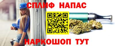 гашик Кунгур