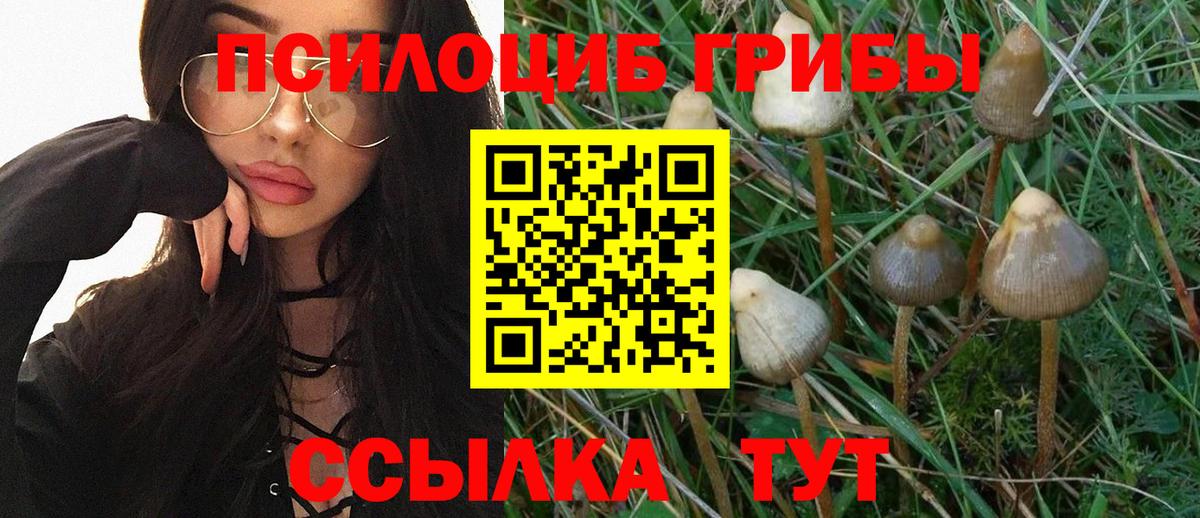 Псилоцибиновые грибы Psilocybine cubensis  Вход с VPN  Кашира  Псилоцибиновые грибы GOLDEN TEACHER 